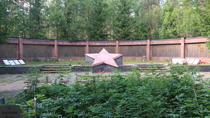 Мга